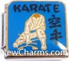 CT9487 Karate On Blue Italian Charm