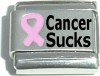 Cancer Sucks 