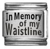 In Memory of my Waistline