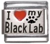 I Love my Black Lab
