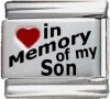 In Memory of my Son