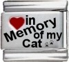 In Memory of my Cat