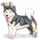 JR142 Alaskan Malamute ORing Charm