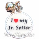 JR153 I Love My Irish Setter ORing Charm
