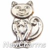H1105 Cat In Silver Floating Locket Charm 