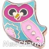 H1551 Colorful Owl Floating Locket Charm