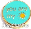 H1637 Teal You Are My Sunshine Floating Locket Charm