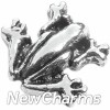 H6232 Silver Frog Floating Locket Charm