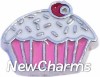 H7153 Pink Cupcake Floating Locket Charm