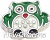 H7654 Green Owl Floating Locket Charm