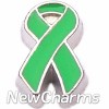 H7742 Green Ribbon With Silver Trim Floating Locket Charm