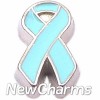 H7745 Light Blue Ribbon With Silver Trim Floating Locket Charm