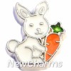 H7819 Bunny And Carrot Floating Locket Charm