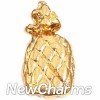 H9035G Gold Pineapple Floating Locket Charm