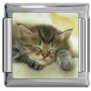 A10401 Cute Kitten Sleeping Italian Charm