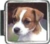 X005 Cute Puppy Italian Charm
