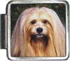A10010 Long Haired Dog Italian Charm