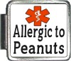 Allergic to Peanuts Custom Photo Italian  Charm