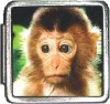 A10212 Monkey Italian Charm